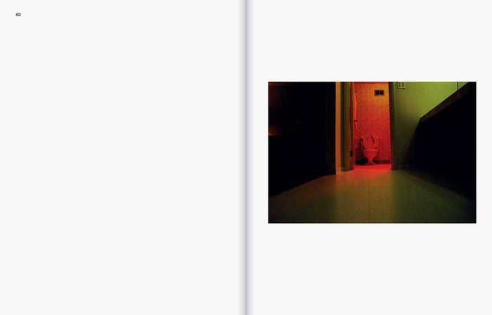 William Eggleston: The Last Dyes by William Eggleston