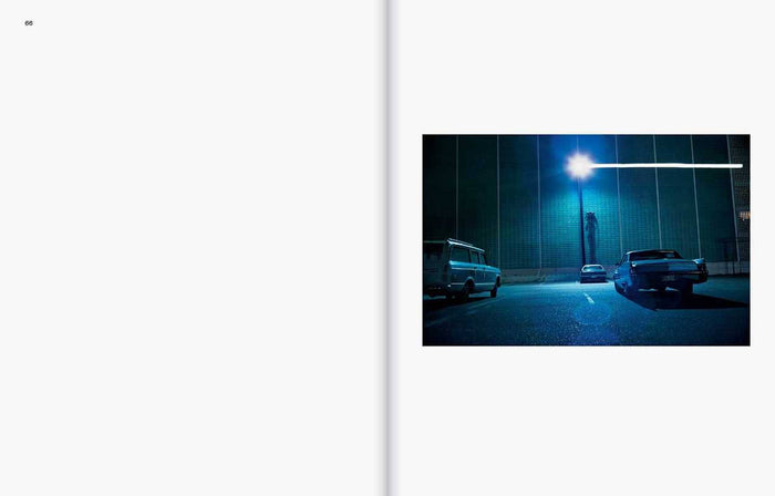 William Eggleston: The Last Dyes by William Eggleston